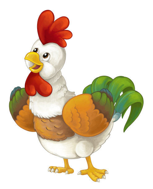 卡通有趣的鸟鸡公鸡孤立在白色背景-插图儿童图片下载