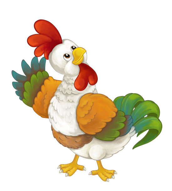卡通有趣的鸟鸡公鸡孤立在白色背景-插图儿童图片下载