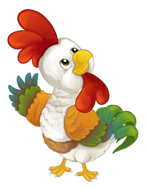 卡通有趣的鸟鸡公鸡孤立在白色背景-插图儿童图片下载