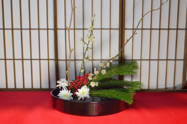 白梅插花图片下载