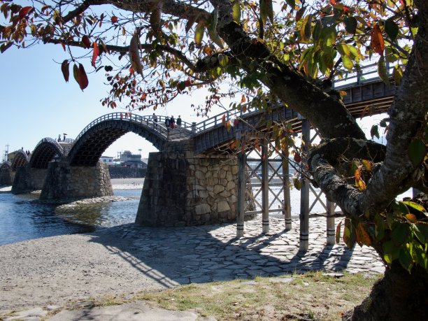 金台桥肖像图片下载