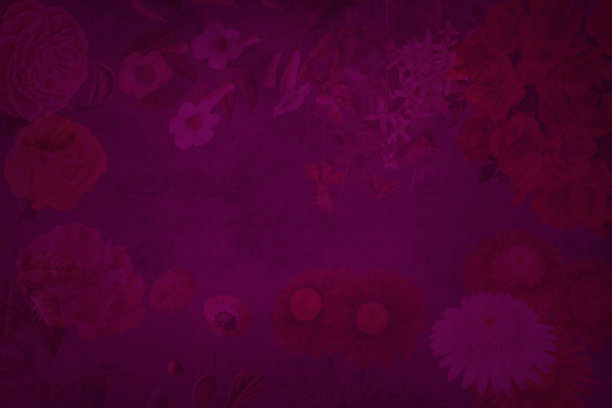 装饰花羊皮纸的背景与复制空间在中间图片下载