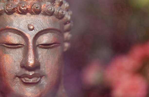 近距离的佛像在花园与绿色模糊的背景图片下载