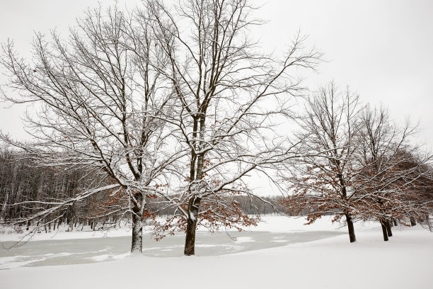 在城市公园的冬天图片下载