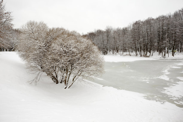 在城市公园的冬天图片下载