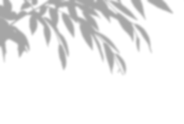 美丽的树影背景插图图片下载