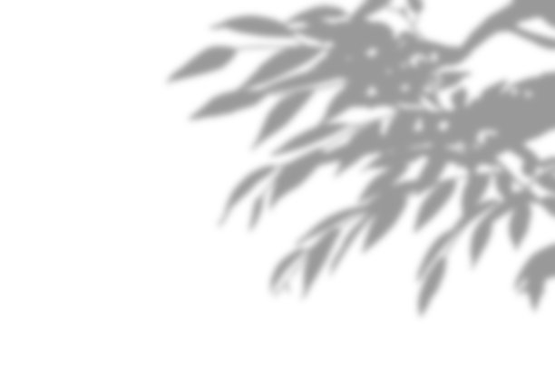 美丽的树影背景插图图片下载