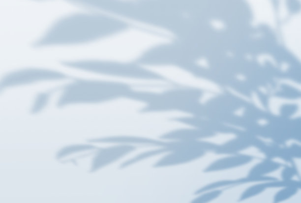 美丽的树影背景插图图片下载