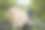 男子清洁树枝的木材被砍下来-库存照片图片下载