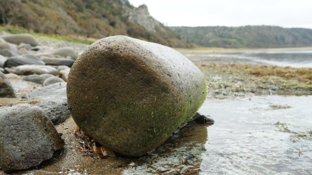 水边有一块大石头图片下载