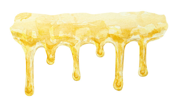 水彩手绘蜂蜜滴孤立在白色背景图片下载