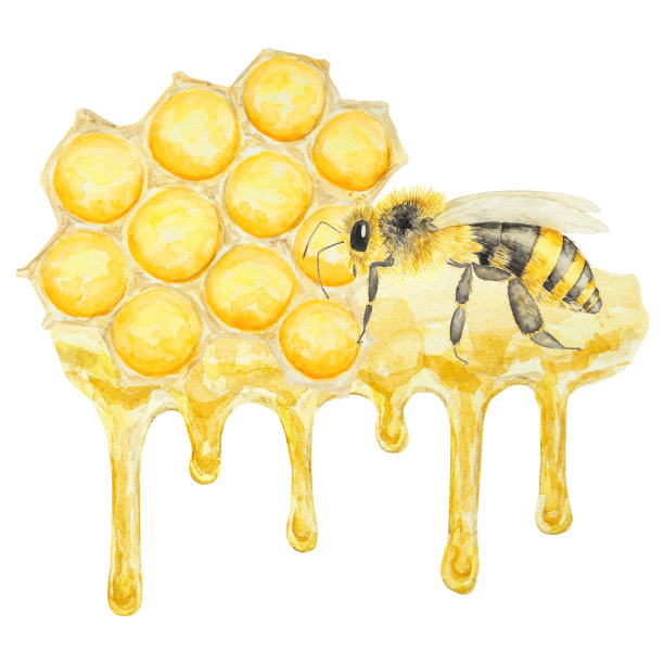 水彩手绘蜜蜂孤立在白色背景图片下载