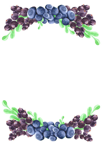 手绘水彩卡蓝莓绿叶棉花糖草莓和黑醋栗。剪贴簿，明信片，横幅，标签。图片下载