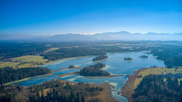 奥斯特西图片下载