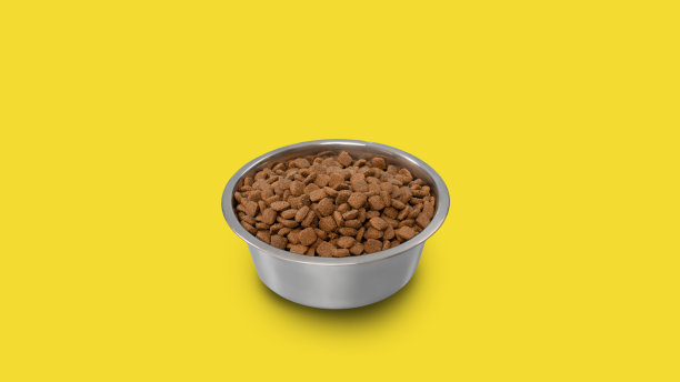 干燥的宠物食品在碗孤立的黄色工作室背景图片下载