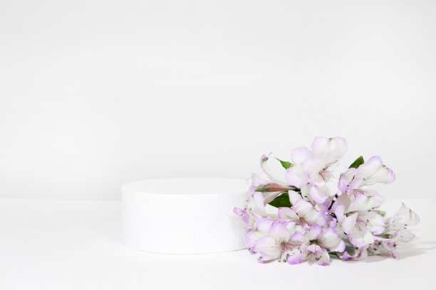 圆柱形白色讲台上的白灰色背景与硬阴影和紫丁香花。最小的空化妆品展示场景。几何讲台。图片下载