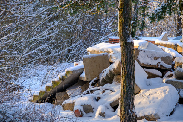 在树林里非法倾倒垃圾。建筑垃圾对环境的污染。对自然的负面影响。建筑垃圾堆积在森林里。图片下载
