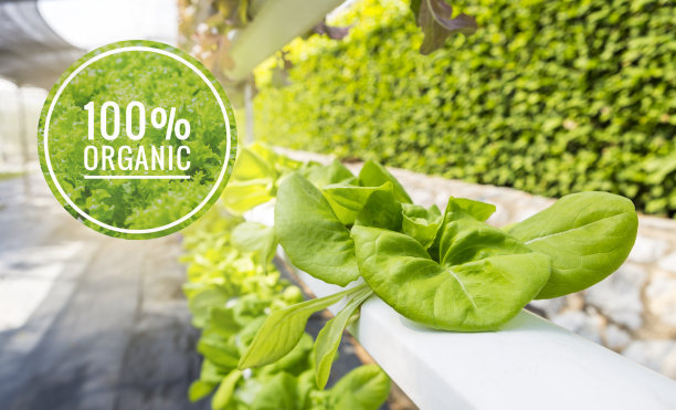 100%有机标志超过水培农业图片下载