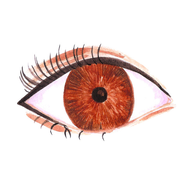 水彩画神奇的棕色眼睛。孤立在白色背景上。剪贴簿，明信片，横幅，标签。图片下载