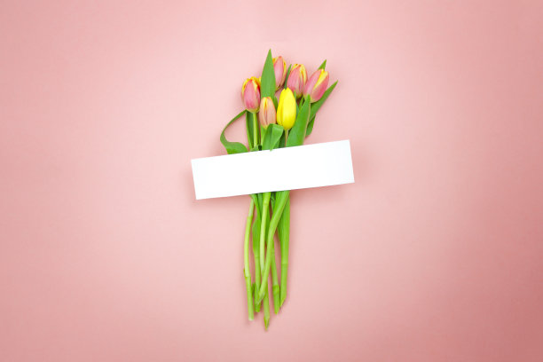 粉红色背景上的郁金香花束和空白卡片。图片下载