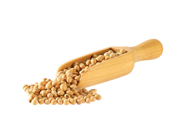 木勺或勺子，白色背景上有大豆。木勺里的大豆。图片下载