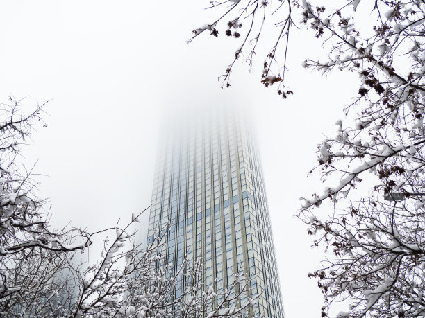 一座高层建筑矗立在雾中。这张照片是从下面拍的。前景中有被雪覆盖的树枝伸出来。图片下载