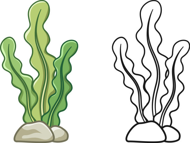 水下海藻着色和轮廓设置剪贴画图片下载