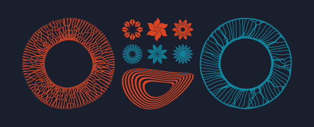 抽象的设计元素。一套图形花。由波浪线条制成的复古音乐板。矢量插图。图片下载