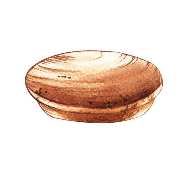 白色背景上水彩画的罐子木盖图片下载