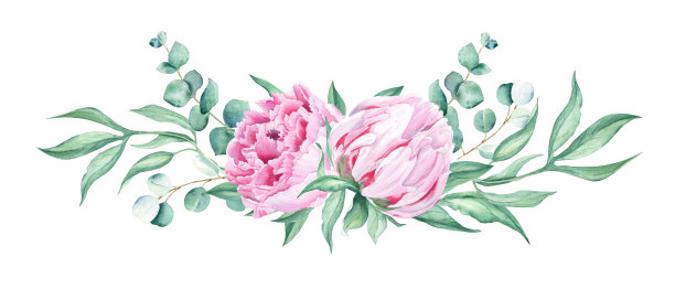 水彩花环牡丹花束孤立在白色背景。粉红牡丹，桉树。手绘植物插图。可用于婚礼、生日、贺卡的设计。图片下载