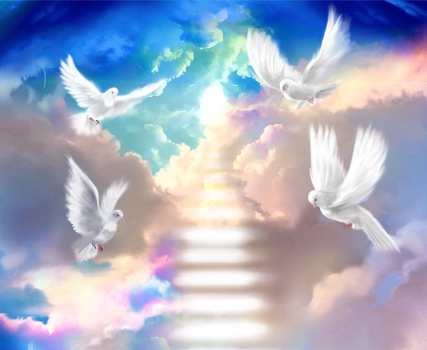 幸运的背景插图是一只白色的鸽子，象征着和平，在天堂的神秘云海周围飞行图片下载