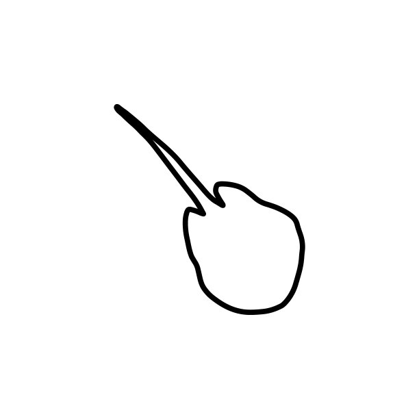 性格黑色的海洋动物深背景。野生动物插画。矢量插图。图片下载