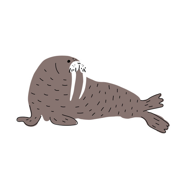 可爱的海象在斯堪的纳维亚风格的白色背景。矢量手绘儿童插图。海海洋。海底世界图片下载