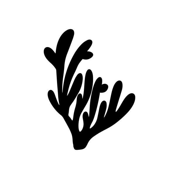 珊瑚。水下元素。矢量插图在黑色。海海洋。图片下载