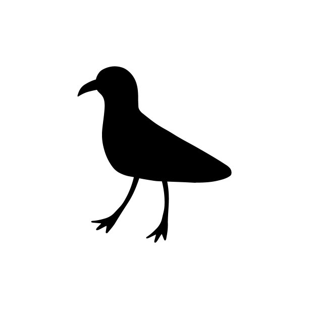 海鸥。黑色的轮廓。大西洋的海鸟。海洋动物矢量插图，白色背景。图片下载