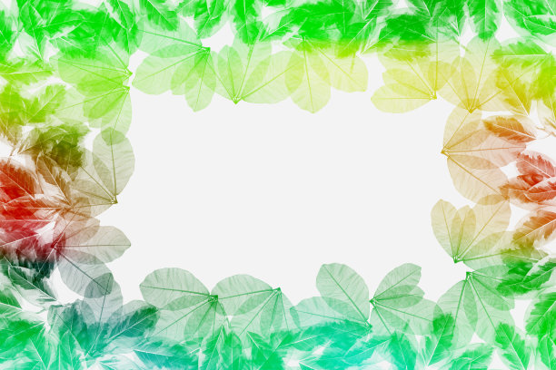 色彩缤纷的叶子图案，渐变的颜色秋叶孤立在白色的背景上图片下载