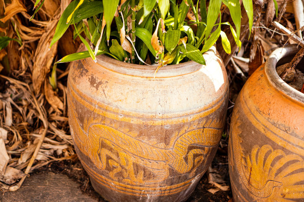图为一个大型的古色古香的手工陶罐，用来在后院种树。图片下载