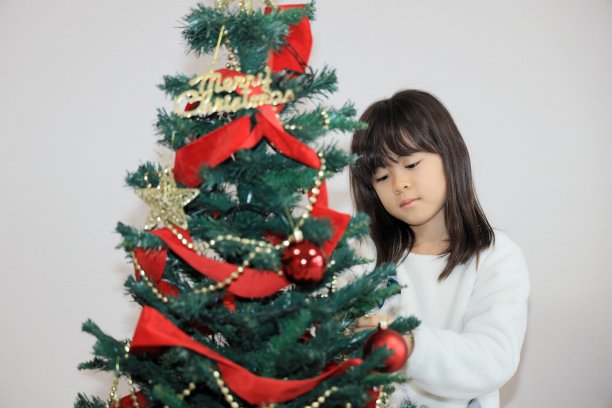 日本学生女孩装饰圣诞树(8岁)图片下载