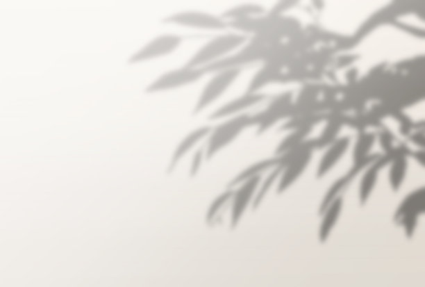 美丽的树影背景插图图片下载