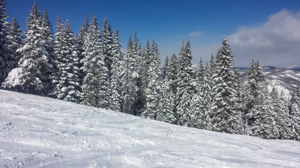 在科罗拉多州的韦尔滑雪图片下载