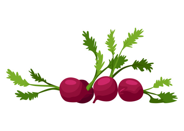 什锦新鲜蔬菜农民标记杂货店图片下载