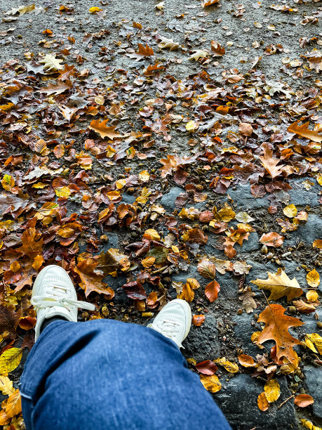 秋日漫步图片下载