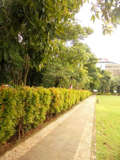 城市公园图片下载