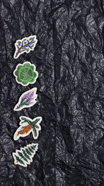胸针上绣着不同植物的线，如曼德拉草根，石南，蕨类，三叶草和黑刺。躺在皱巴巴的黑纸上图片下载