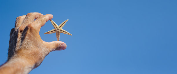 男人在沙滩上的手在蓝天下握着一只海星。横幅图片下载