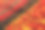 市场上夏季新鲜有机浆果的分类。当地农民生产。秋天的收获。园艺产业图片下载