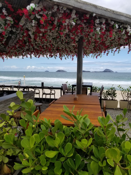 海滩上的酒吧图片下载