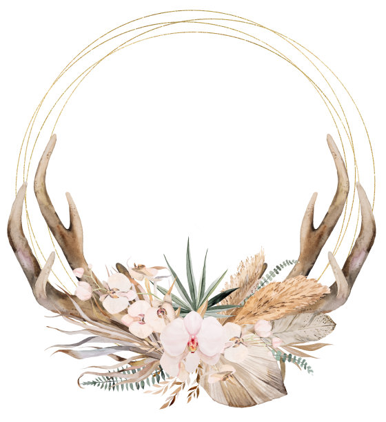 金色框架与水彩鹿角，热带树叶和花，波西米亚婚礼插图图片下载