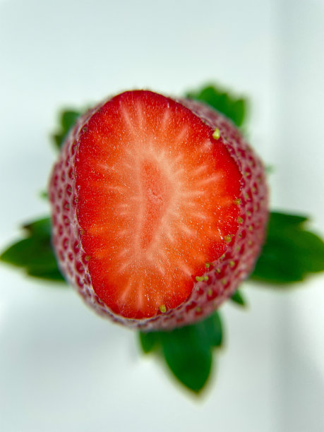 一片成熟的红草莓特写图片下载