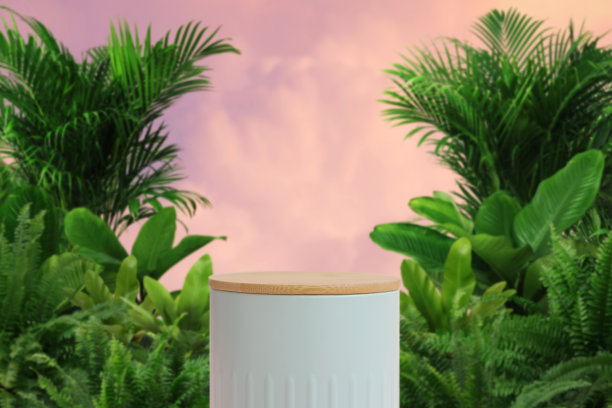 木讲台室外热带森林绿色植物粉红色粉彩云天空模糊背景。美妆产品呈现自然放置台架展示，春夏天堂丛林概念。图片下载